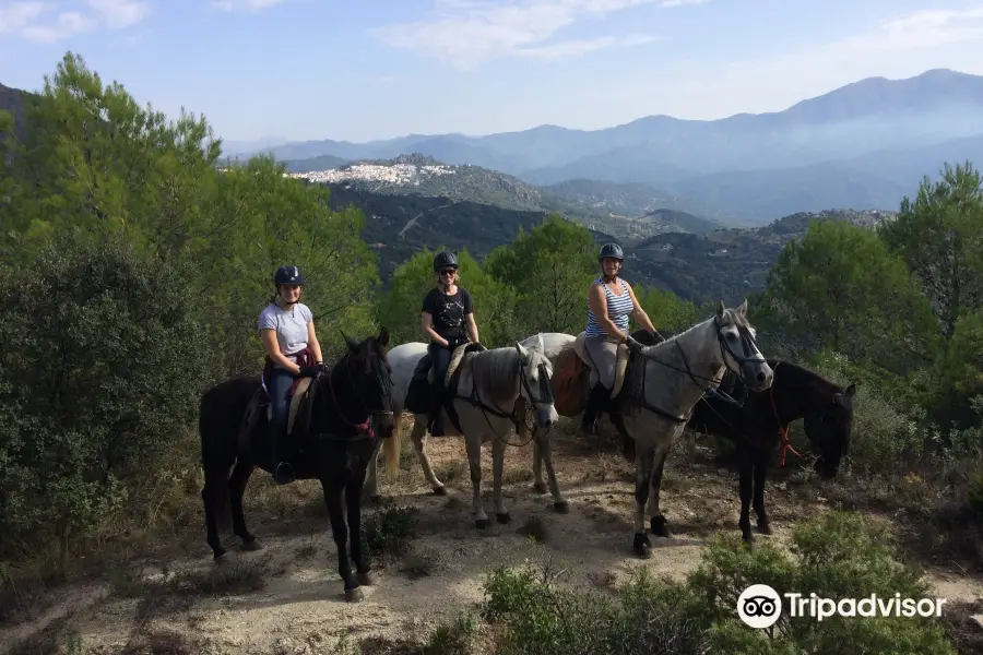 Ride Andalucia