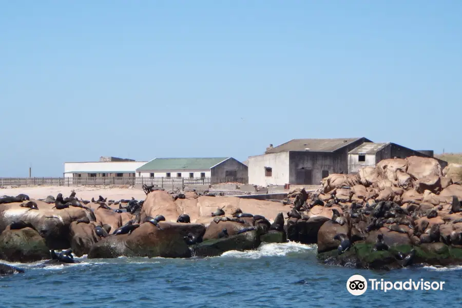 Ilha dos Lobos