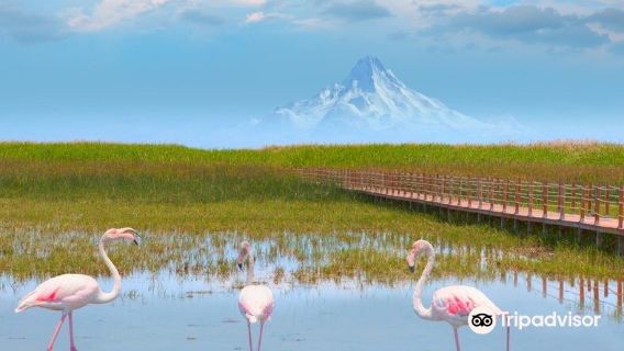 Sultan Marshes National Park