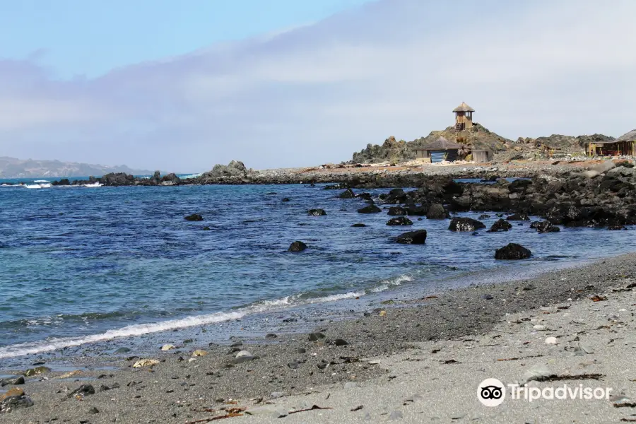 Caleta Chanaral de Aceituno