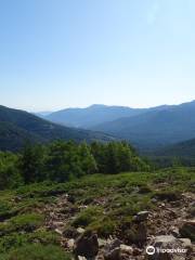 Col de Vergio