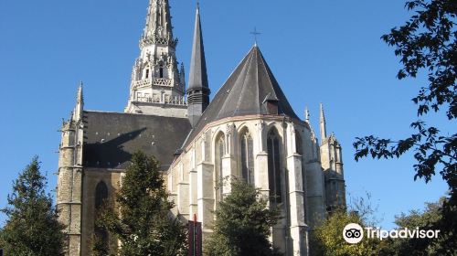 Collegiale Saints Pierre et Guidon