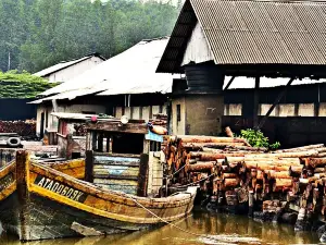 Usine De Charbon De Bois