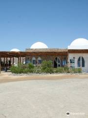 TGI Diving Marsa Alam