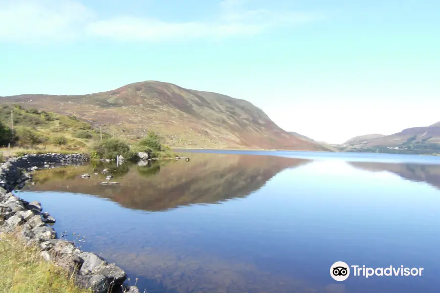 Lough Talt Loop Walk