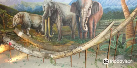 桑義蘭早期人類遺址