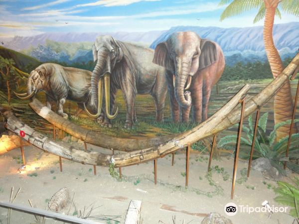 Museum Manusia Purba Sangiran Klaster Krikilan