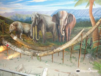 Museum Manusia Purba Sangiran Klaster Krikilan