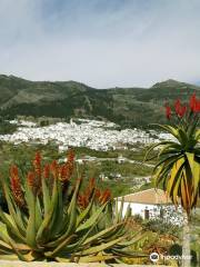 Botanical Garden of Cacti and Succulent Plants 'Mora i Bravard' of Casarabonela