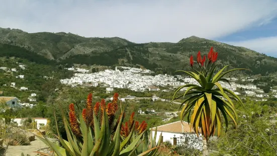 Botanical Garden of Cacti and Succulent Plants 'Mora i Bravard' of Casarabonela