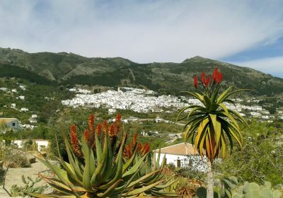 Jardín Botánico de Cactus y Otras Suculentas 'Mora i Bravard'