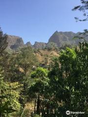 Jardin Botanique de Sao Jorge