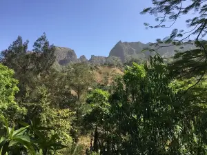 Jardin Botanique de Sao Jorge