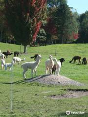 Lazy Acre Alpacas/Alpaca Country Clothing & Gifts