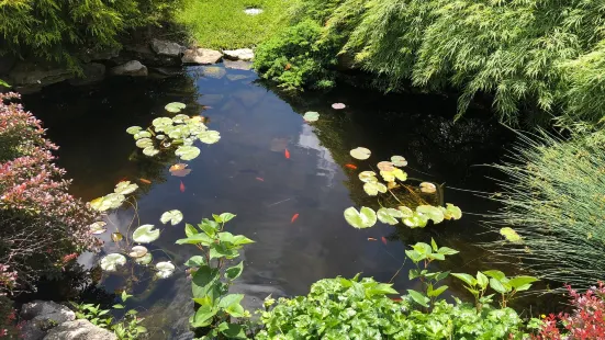 Wonder Dog Memorial Garden