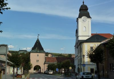 Centum špecialnopedagogického poradenstva so zameraním na zrakovo postihnutých