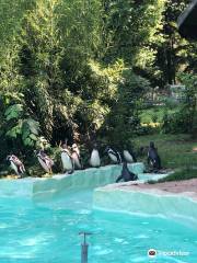 ツィッタウ - ツォー・イム・ドライレンダーエック動物園