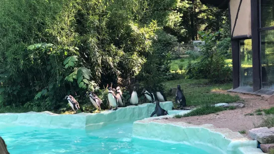 ツィッタウ - ツォー・イム・ドライレンダーエック動物園