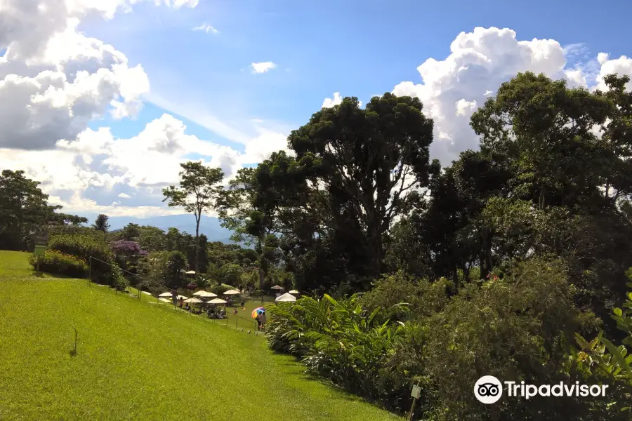 Ecological gardens Topotepuy