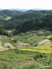 Kamimom, Terraced Rice Fields