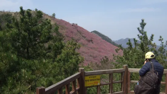 Mount Cheonju in Changwon