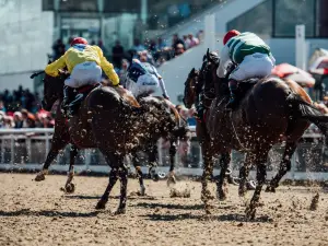 Dundalk Stadium