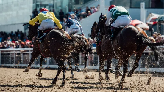 Dundalk Stadium