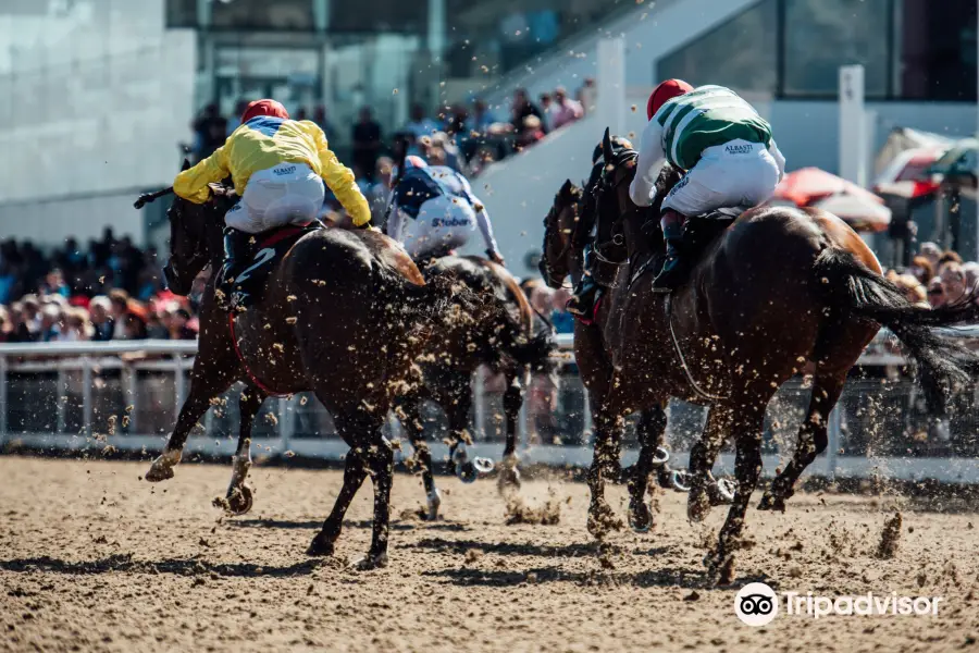 Dundalk Stadium