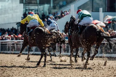 Dundalk Stadium