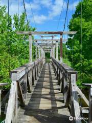 Appalachian Trail Boardwalk