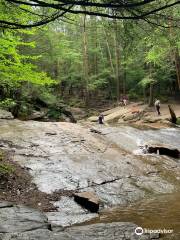 Seven Tubs Recreation Area - Pinchot Forest District