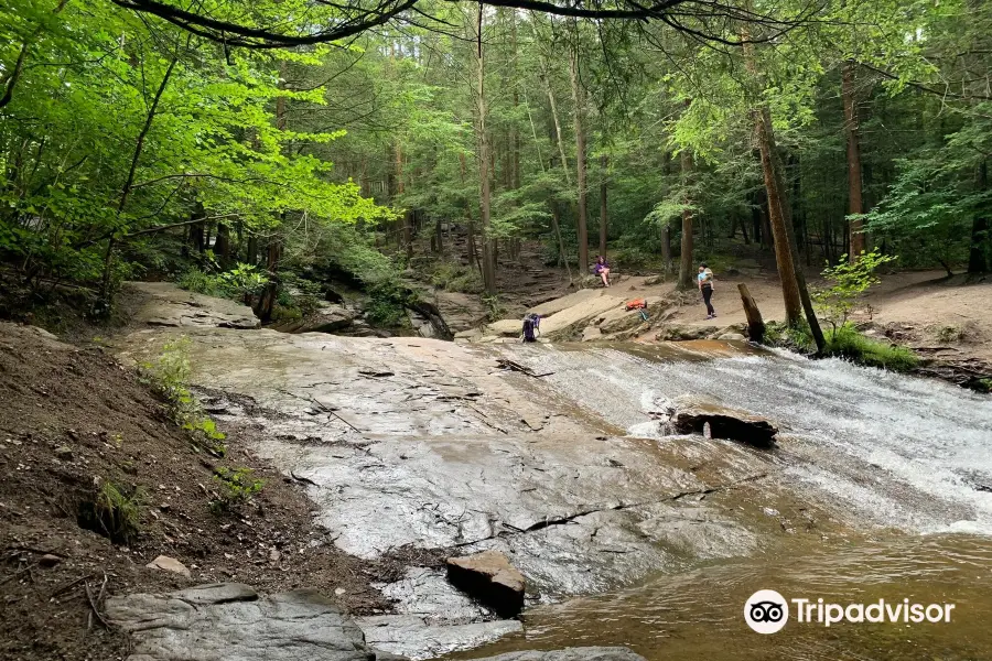 Seven Tubs Recreation Area - Pinchot Forest District