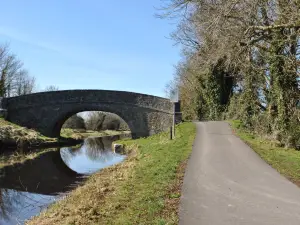 Offaly Grand Canal Greenway