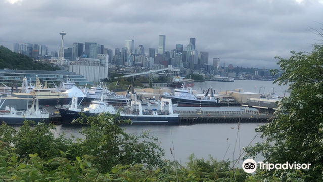Ursula Judkins Viewpoint
