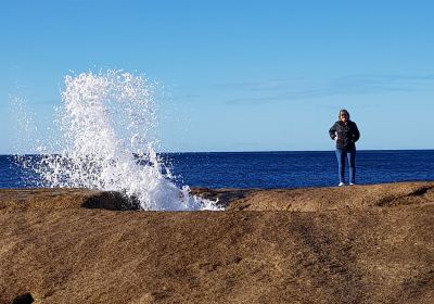 Bicheno Blowhole