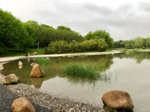 安慶蓮湖公園