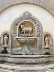 Fontana del Toro