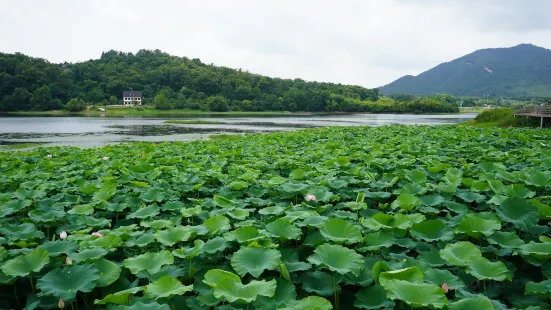 Geumma Reservoir
