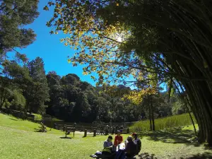 Lago das Carpas