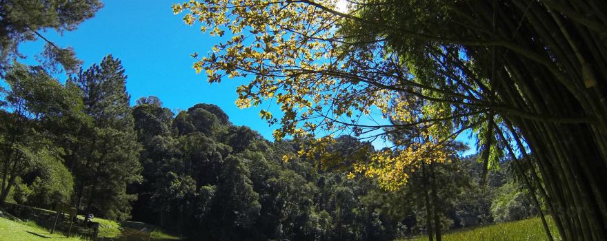Lago das Carpas