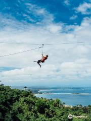 Vanuatu Jungle Zipline