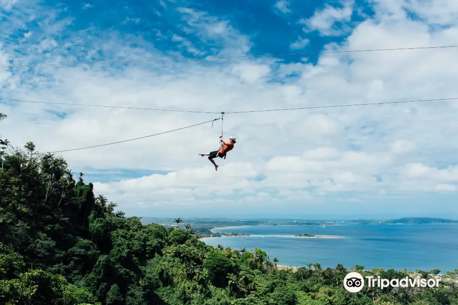 Vanuatu Jungle Zipline at The Summit