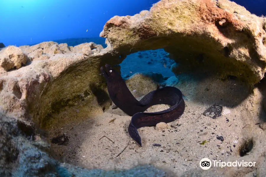 Fuerteventura Buceo Diving center