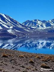 Lagunas Miscanti y Miñiques