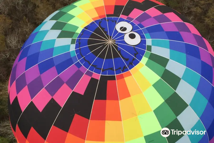 Balloons Over Georgia