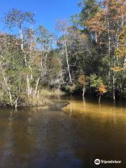 Turkey Creek Park