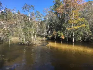 Turkey Creek Park