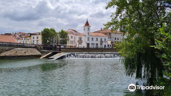 Roda do parque do Mouchao
