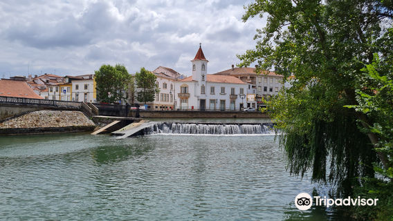 Roda do parque do Mouchao