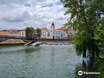 Roda do parque do Mouchao